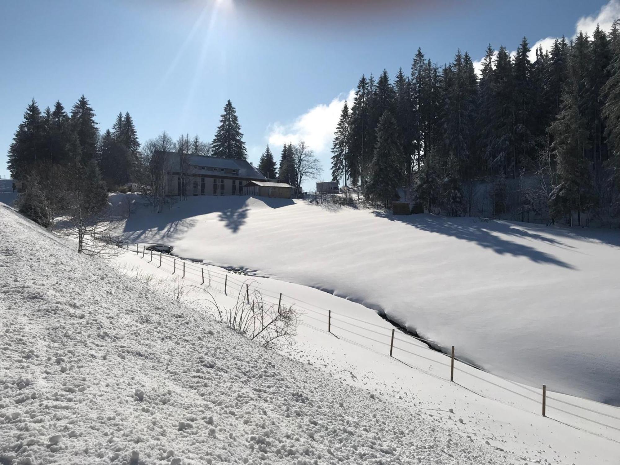 Waldhotel Auerhahn "Hochkopfhaus" Todtnau Dış mekan fotoğraf