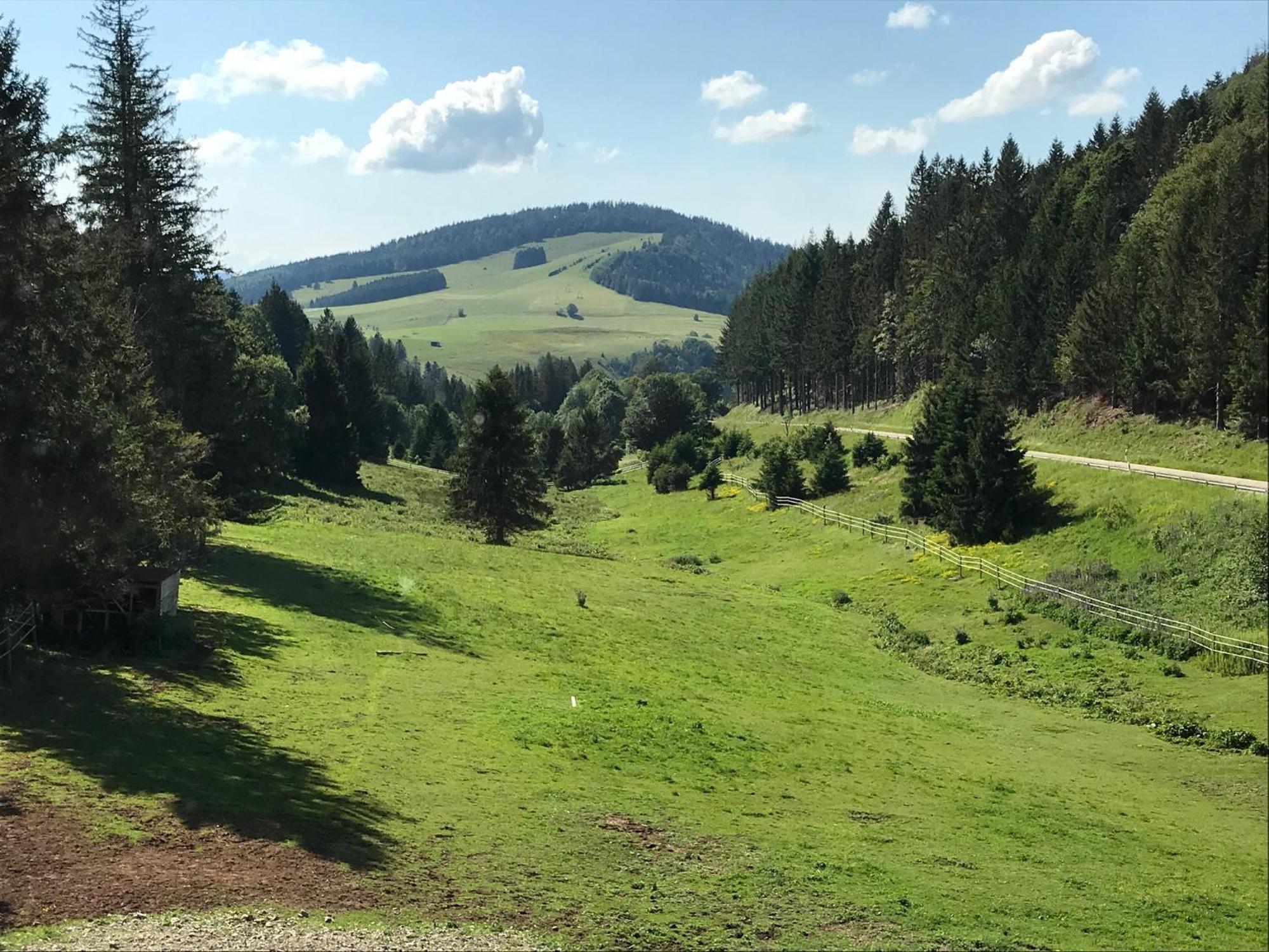Waldhotel Auerhahn "Hochkopfhaus" Todtnau Dış mekan fotoğraf